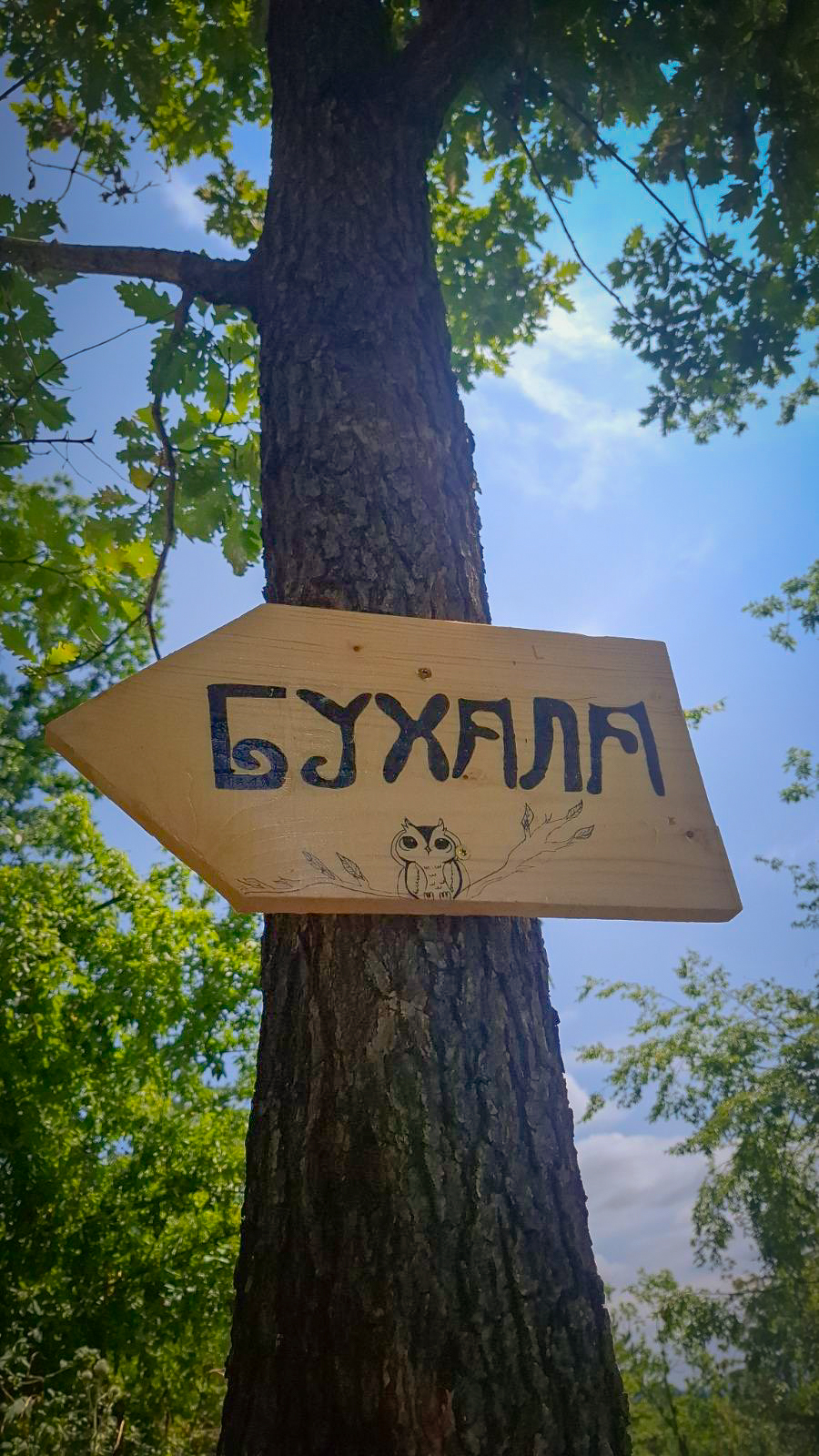 Дървена стрелка с надпис „БУХАЛА“ и рисунка на сова